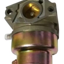 Carburatore Gx 200